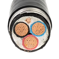 Cross-Section of TECK90 Cable